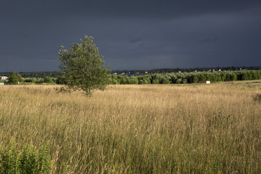 Similar image 21030235