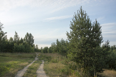 Similar image 21030239