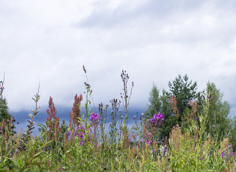 Similar image 21030241