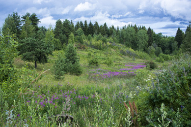 Similar image 21030242