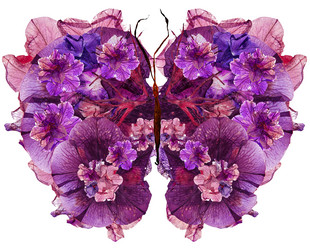 Similar image 21047065