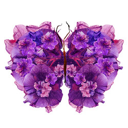 Similar image 21047066