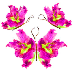 Similar image 21047067