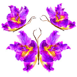 Similar image 21047068