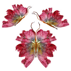 Similar image 21047201