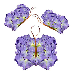 Similar image 21047202