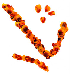 Similar image 21047377