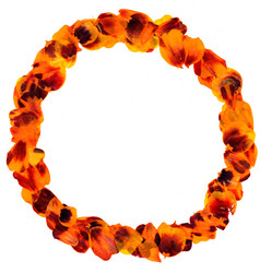 Similar image 21047378