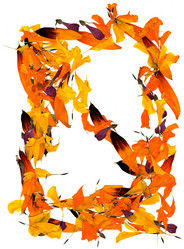 Similar image 21047381