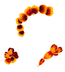 Similar image 21047382