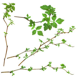 Similar image 21047384