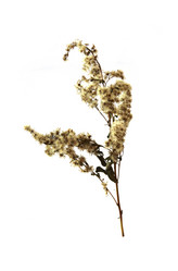 Similar image 21047385