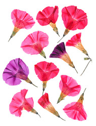 Similar image 21047387