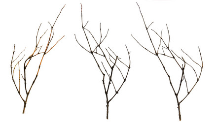 Similar image 21047388