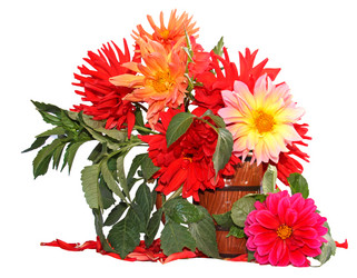 Similar image 21047288