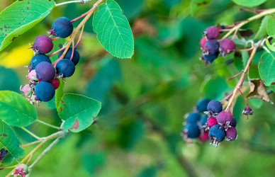 Similar image 21030487