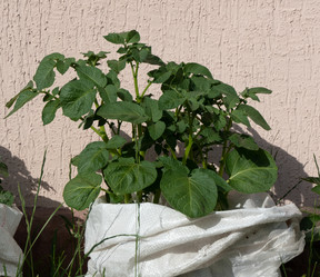 Similar image 21030490