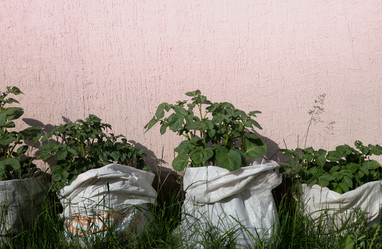 Similar image 21030491