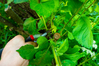 Similar image 21030495