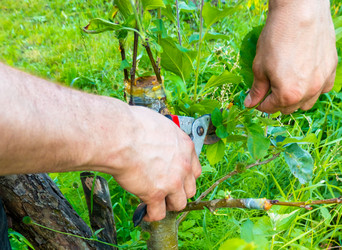 Similar image 21030496