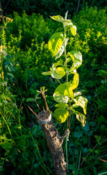 Similar image 21030499