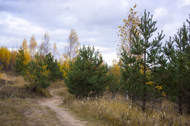 Similar image 21030505