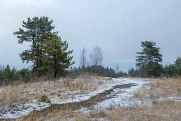 Similar image 21030508