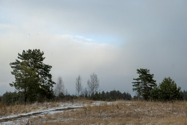 Similar image 21030509