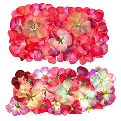 Similar image 21042747