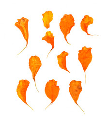 Similar image 21042748