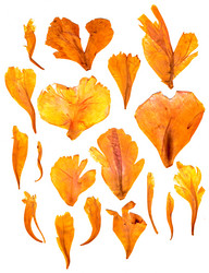 Similar image 21042750