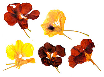 Similar image 21046851