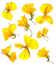 Similar image 21046853