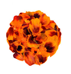 Similar image 21046864