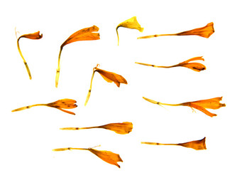 Similar image 21046868