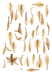 Similar image 21046869