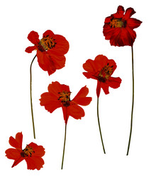 Similar image 21046871