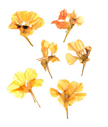 Similar image 21042872