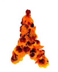 Similar image 21047073