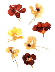 Similar image 21047076