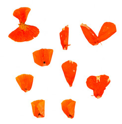 Similar image 21047078