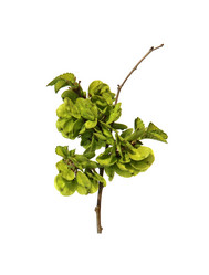 Similar image 21047080