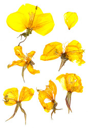 Similar image 21047082