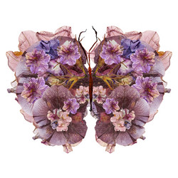 Similar image 21042873