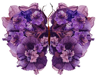 Similar image 21047088