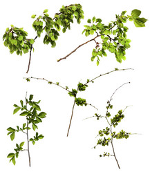 Similar image 21047092