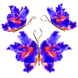 Similar image 21047093