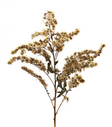 Similar image 21042874