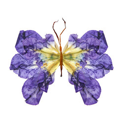 Similar image 21042877