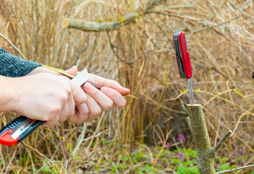 Similar image 21030510